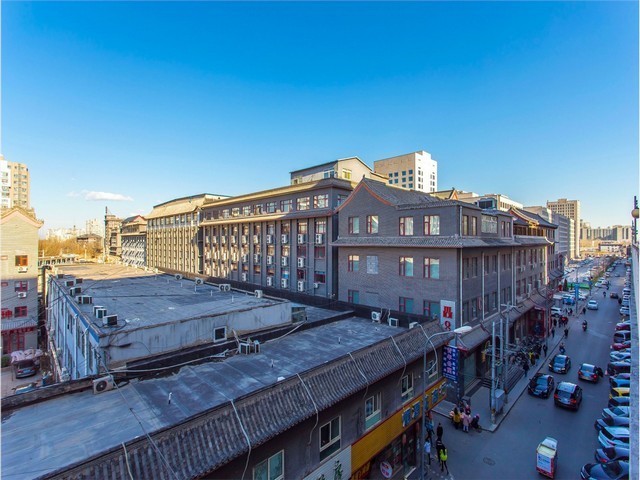 白城花卉去哪买